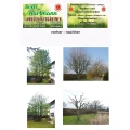 Sven Hartmann Gartengestaltung Niefern-&Ouml;schelbronn