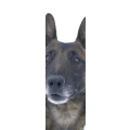 Logo Wagenh&ouml;fer, Sven