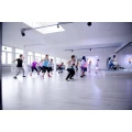 Logo SweatnDance
