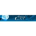 Swingerclub Blue-Cat Schwetzingen