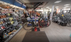 Switchbike Bornemann Fahrrad und E-Bike Store Gießen Kinderfahrräder und Werkstatt Gießen
