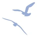 Logo Sylter WohnLust GmbH