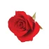 Logo Sylvia Hoffmeyer