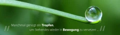 Logo Sylvia Rauch, Systemische Beratung & Coaching