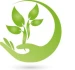 Logo Sylvia Reinstadler-König Heilpraktikerin