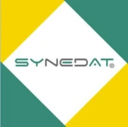 Synedat Consulting GmbH IT-Dienstleistungen Berlin