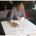 Systemic VOICE Norden