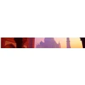Logo Taj Mahal