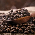 Tangerm&uuml;nder Kaffeer&ouml;sterei Tangerm&uuml;nde
