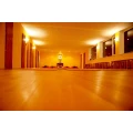 Logo Qigong und Yogastudio-Tao Institut