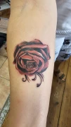 Tattoo Attack T&auml;towierungen Berlin