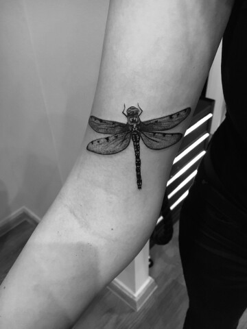 Tattoo Kryptonite Regensburg Offnungszeiten Telefon Adresse Tattoo Kryptonite Regensburg Offnungszeiten Telefon Adresse