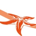 Logo Tauchsport Wetzel Inh.