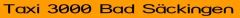 Logo Taxi 3000, Nazim Potuk
