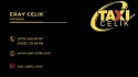 Logo TAXI Celik