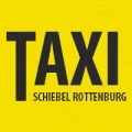 Logo Taxi G&auml;u