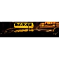 Logo Taxi Hallo