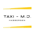 Taxi -M.J Hasbergen