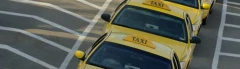 Logo Taxi Waldmann