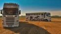 Logo Taxi4Horses