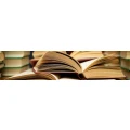 Logo Dr. Michael Bachmann Wissenschaftlicher Verlag