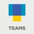 Logo TEAMS DESIGN