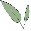Logo Teehandlung BOHEA