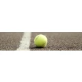 Logo Tennis-Bezirk 1 Linker Niederrhein