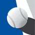 Logo Tennisclub Blau-Weiß e.V. Sportorganisation
