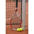 Logo Tennisclub Gr&uuml;n-Wei&szlig; Bork 1951 e.V.