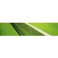 Logo Tennisclub Hohenhorst e.V. Recklinghausen