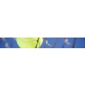 Logo Tennisclub Jagst e.v.