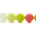 Logo Tennisclub Stetten/Filder e.V.