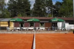Logo Tennisclub Waldacker Grün-Weiss e.V.