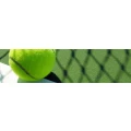 Logo Tennisclub Winterbach e.V.