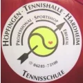 Logo Tennishalle Stingel