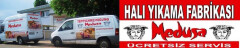 Logo Teppichreinigung Medusa- Haliyikama