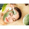 Logo Terra Kosmetik Sandra Staniecki