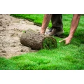 Terrafloris Gartenbau und Bautenschutz Weingarten, Baden