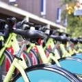 Terranova Touristik Uhlig KG R&ouml;dermark