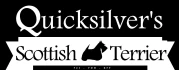 Logo Terrierstyle Stephan
