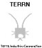 Logo Terrn Corporation