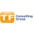 Logo TF Consulting Group GmbH / GF Frank Gareis