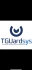 Logo Tguardsys
