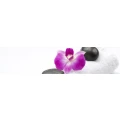 Logo Thai-Massage Sairung Berger