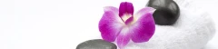 Logo Thai-Massage Sairung Berger Massagepraxis