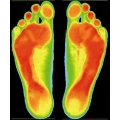 The FOOT TRAINER P&ouml;cking