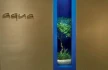 Logo The Ritz-Carlton Wolfsburg AQUA Restaurant-Reservierung