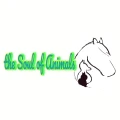 The Soul of Animals- Therapiezentrum f&uuml;r Tiere Uffenheim