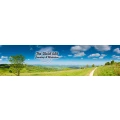 Logo The Vivid Wit Coaching & Mediation